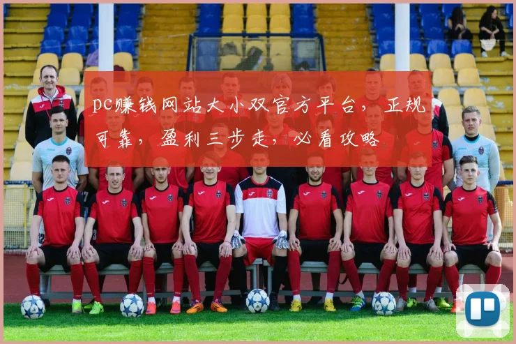 pc赚钱网站大小双官方平台，正规可靠，盈利三步走，必看攻略