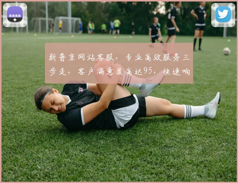新普京网站客服，专业高效服务三步走，客户满意度高达95，快速响应，全程无忧，值得信赖，三重保障